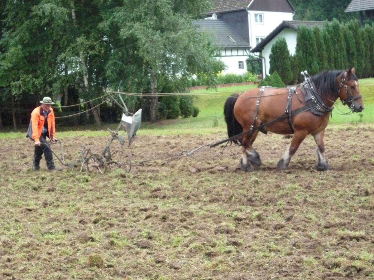 Pension Koster Cobbenrode Eksteriør bilde